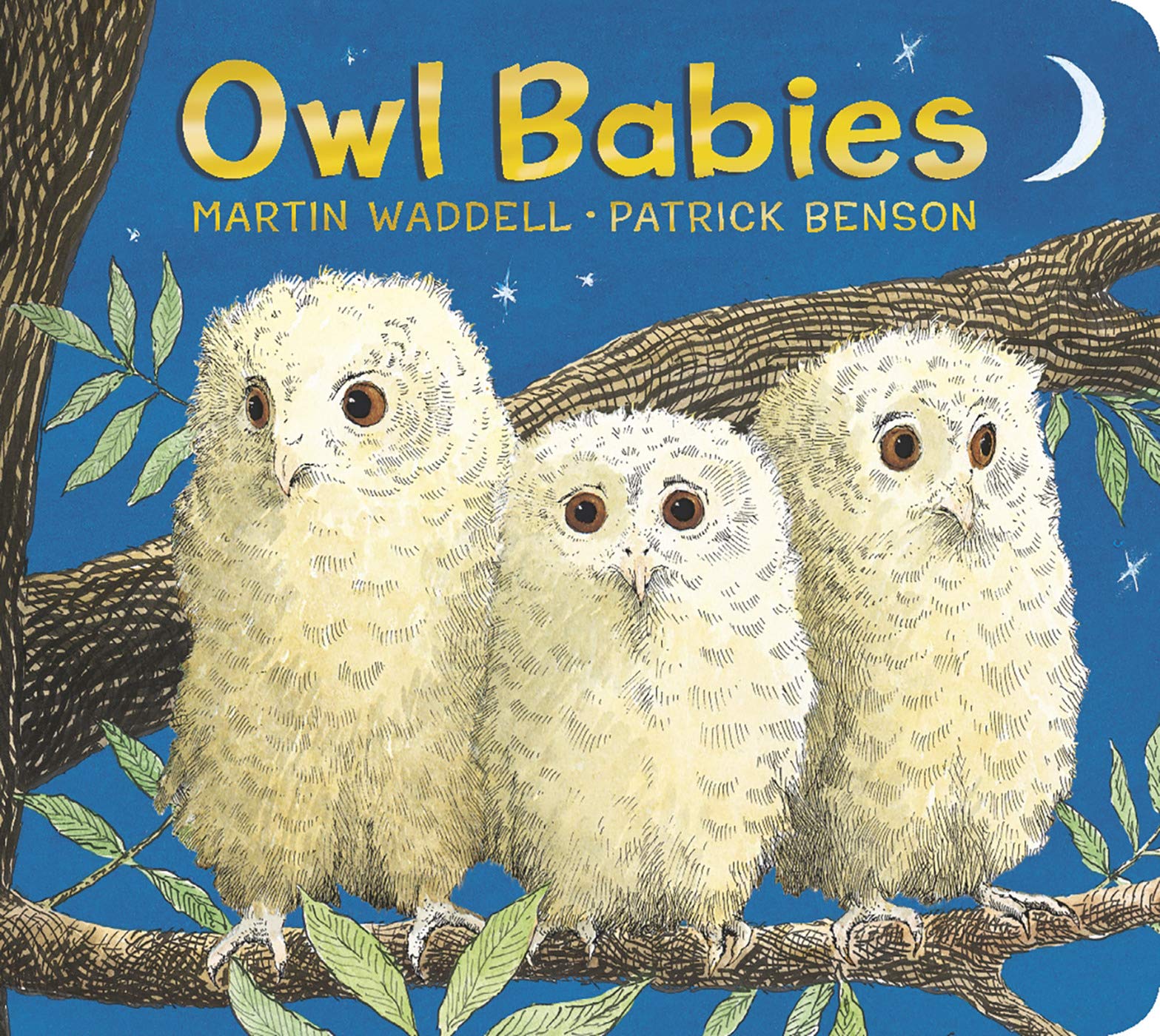 the owl babies