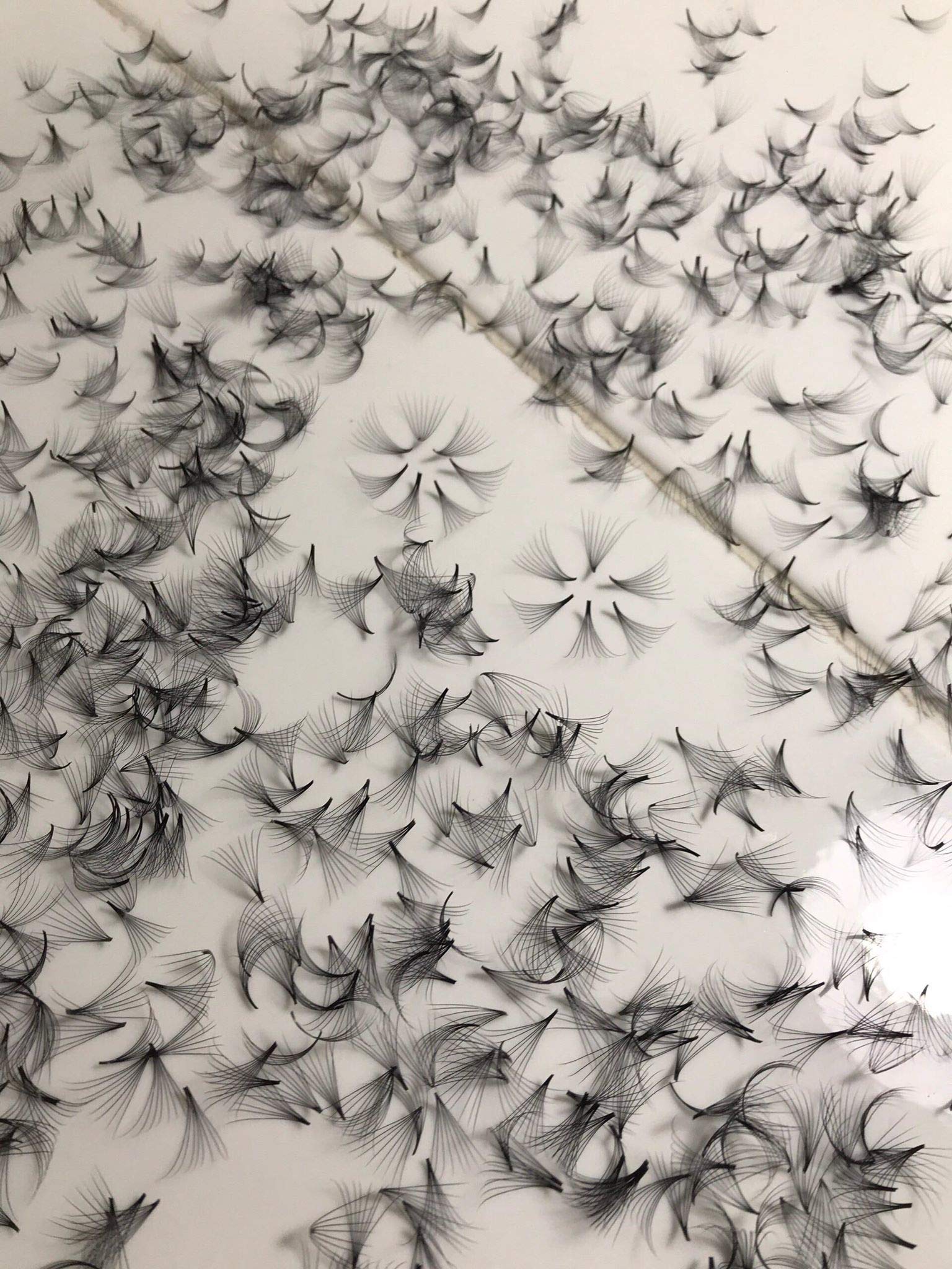Photo 1 of 12D PREMADE (HAND MADE) FAN LASHES (500 FANS/TRAY) FOR EYELASH EXTENSION, D CURL, 0.05 THICKNESS, LENGTH FROM 10MM-15MM (D10mm12D)