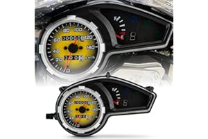Speedometer for Hawk 250 - PSLER Motorcycle Speedometer Motorcycle Tachometer Dirt Bike Odometer Fuel Gauge for Hawk 250 Hawk 250CC,1 PCS