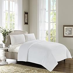 Thesis Fleece Blanket Queen Blanket for Bed Ivory