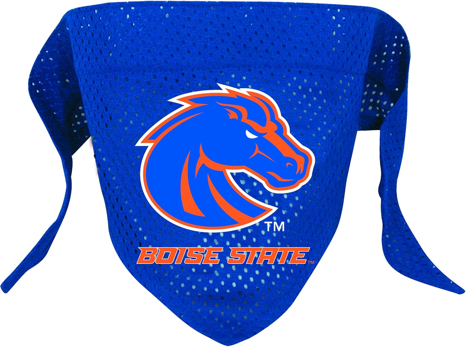 Hunter Mfg. LLP NCAA Boise State Broncos Pet Bandana, Team