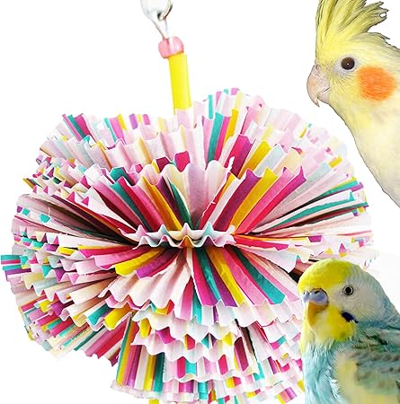 budgie toys amazon