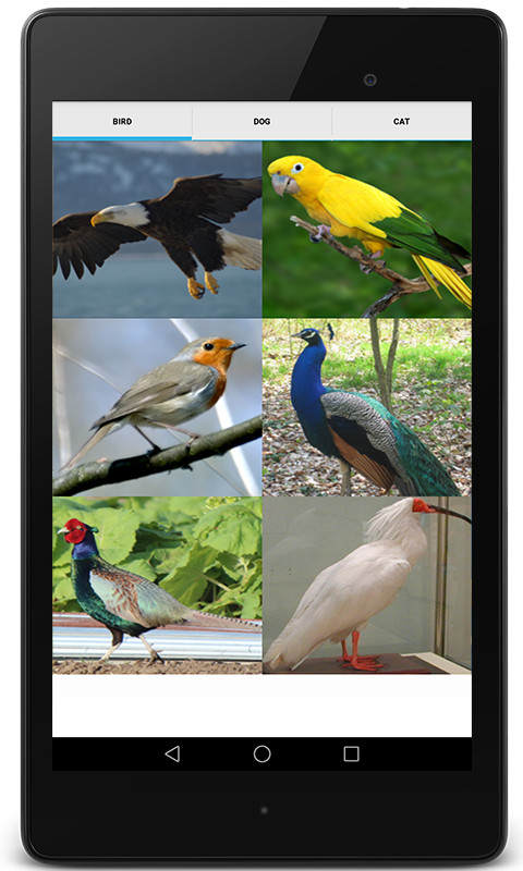 動物の鳴き声 犬 猫 鳥 Amazon Co Jp Appstore For Android