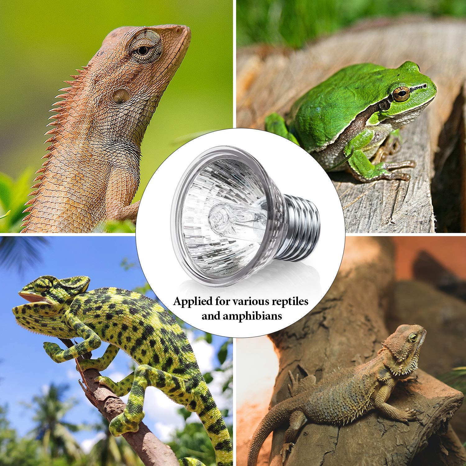Lizard Reptile and Amphibian Mudder 8 Packs 75 W Reptile Heat Lamp Bulb Full Spectrum Sunlight