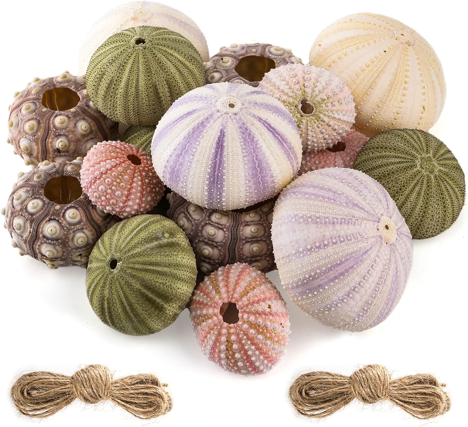 Vase Fillers - Okllen 16 Pack Artificial Sea Urchins Shells Decor, Mixed Sea Urchin Seashells Decorative Air Plant Hanging Holder for Home Decor, Beach Crafts, Assorted Colors, 4 Styles, 2 Jute Ropes