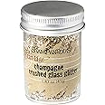 Stampendous Glass Glitter - Silver 1.43 Ounces For Crafts & Decor