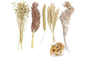 Fhiny Natural Hamster Sprays Edible Hamster Bedding Air-Dried Grain Set for Habitat Decor Mice Cage Accessories for Gerbils Lemmings Parrots Rats and Other Small Animals（0.2lb）