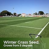 Garden Lawncare Guy ColdPro Winter Grass Seed 1kg Germinates at 5°C view 2