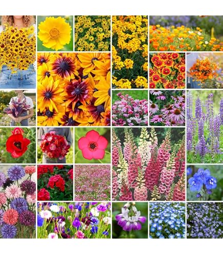 best watermelon seeds to plant Watermelon Seed Collection for Planting main image 0