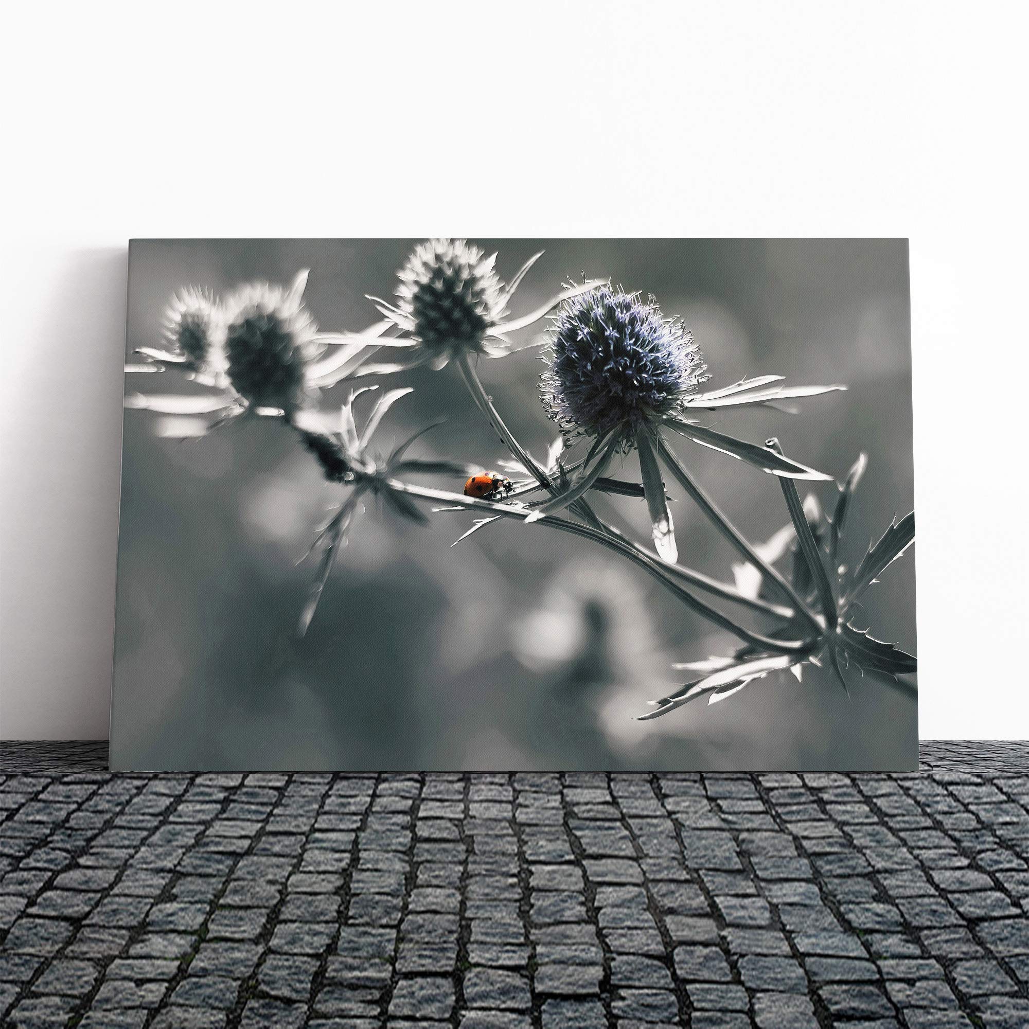 Ladybird Thistle Flower Canvas Print | Gallery Wrapped 30mm Frame Wall Art | 20x14 inches | Ready to Hang | Modern Animals Picture | Living Room Bedroom Lounge Office