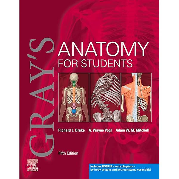 Amazon.com: Photographic Atlas of Anatomy eBook : Rohen, Johannes