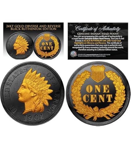 Amazon.com: 1976 Genuine Black Ruthenium Bicentennial US Quarter