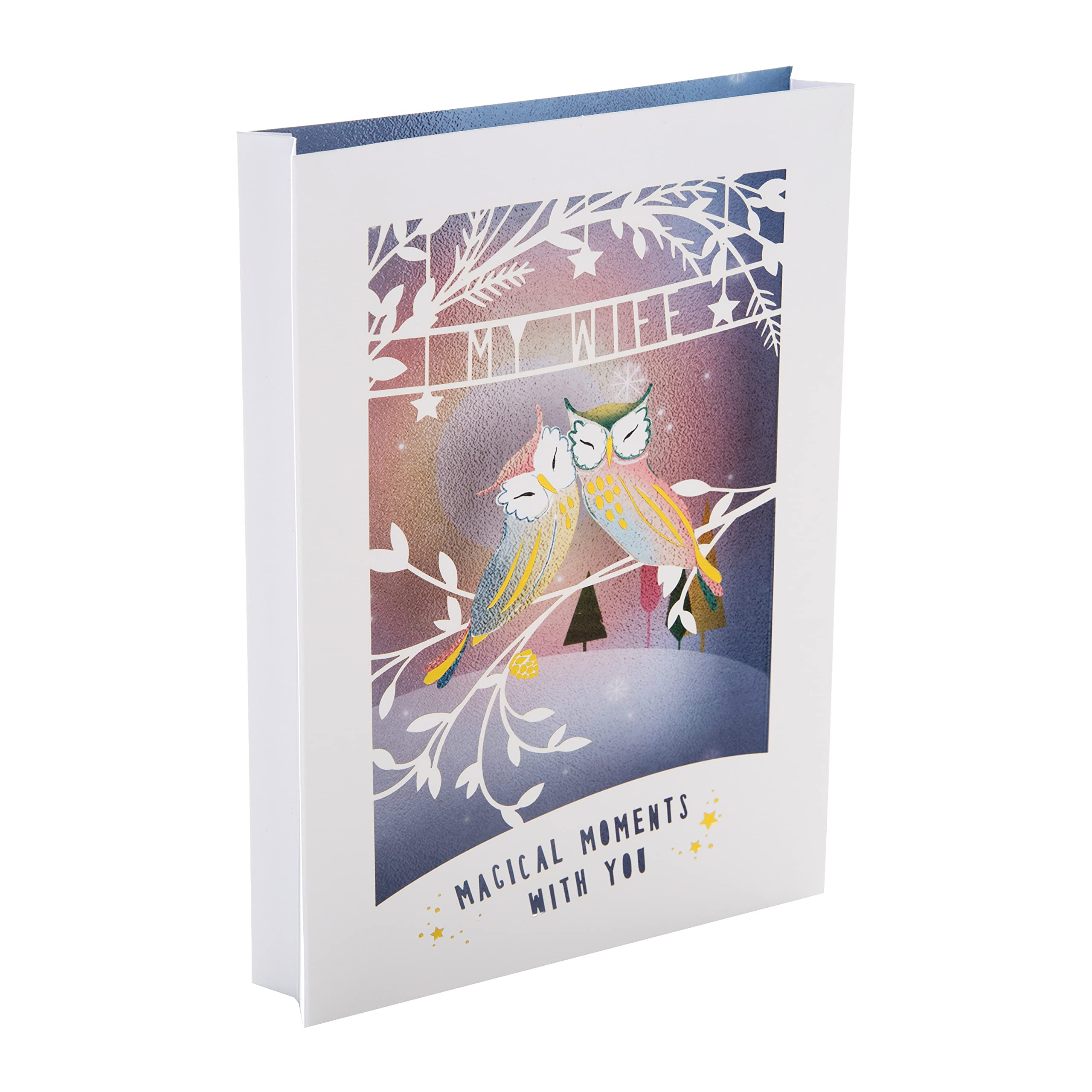 Hallmark Christmas Card for Wife - Traditional 3D Shadowbox Design