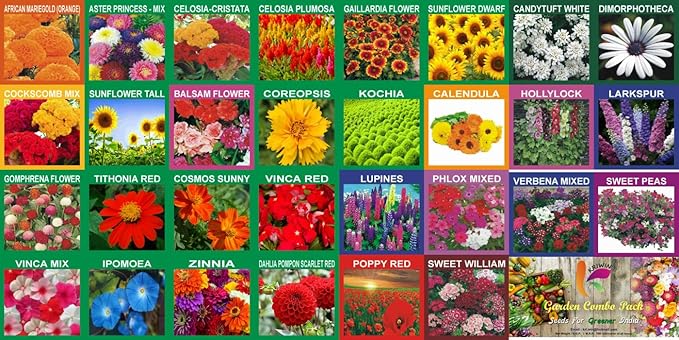 KRIWIN 30 Varieties Flower Seeds Combo 5220+ seeds with Start your Own Garden Guide Booklet