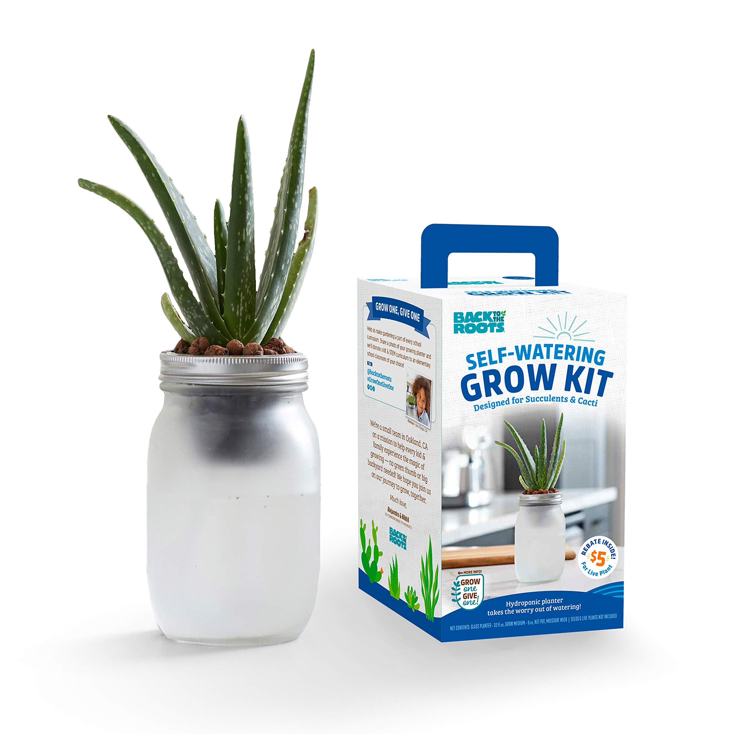 Photo 1 of Back to the Roots Self Watering Grow Kit - Glass Hydroponic Planters for Succulents and Cacti Self-Watering System