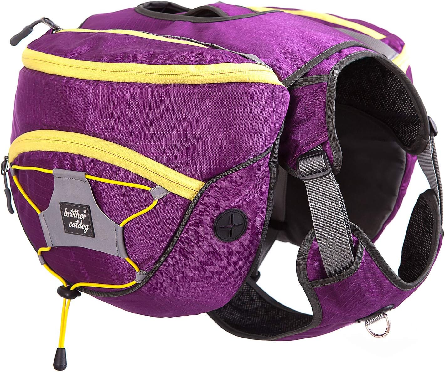 At What Age Can A Dog Start Wearing A Backpack? PupTraveller