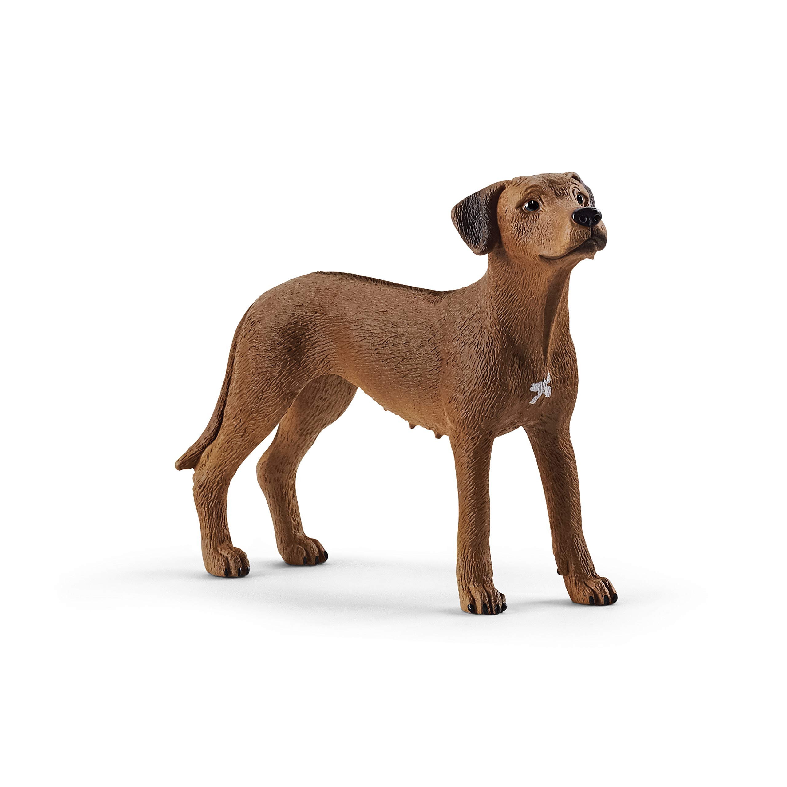 SCHLEICH 13895 Rhodesian Ridgeback Farm World Toy Figurine for children aged 3-8 Years