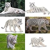 toymany 6PCS White Tigers Figurines Set with Cubs Educational Toys view 6
