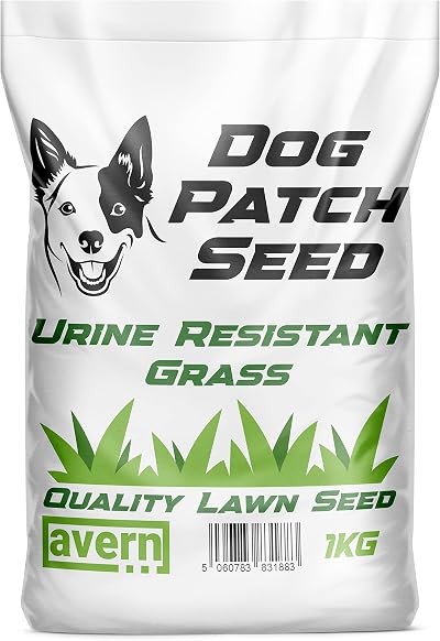 Avern Dog Patch Grass Seed 1KG for Repairing Turf Urine Resistant Fast Growing