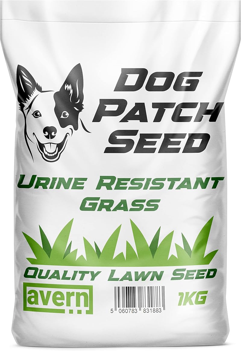 Avern Dog Patch Grass Seed 1KG for Repairing Turf Urine Resistant Fast Growing