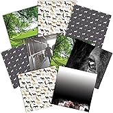 thumbnail image 2 of Paper House Productions Animals Paper Pad - 36 Sheet 6x6 Inch Scrapbooking Paper 2 of 13