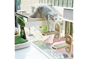 PETKARAY Cat Window Perch, Foldable Cat Hammock for Window, Stable Window Shelves for Indoor Cats, Set Includes 2 Pack of Window Stairs
