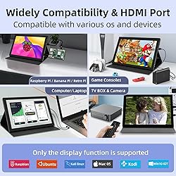 iPistBit 10.1inch Touchscreen Monitor, 1280x800