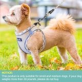 haapaw Dog Harness and Lead Set No Pull Reflective Adjustable Step-in Small view 4