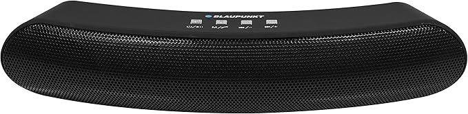 blaupunkt wireless speaker bp1262