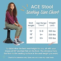 ECR4Kids ACE Active Core Engagement Wobble