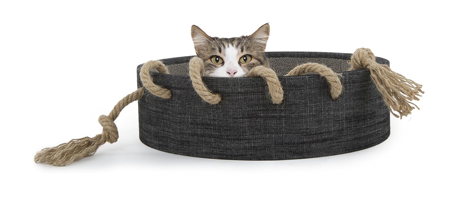 petlinks scratch around