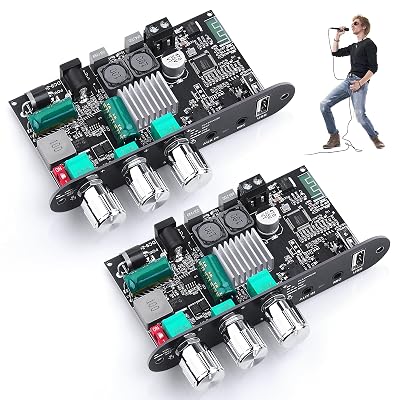ZK-1001UM Bluetooth 5.3 Amplifier Board, 100W Mini Mono Audio Amp with TWS Box, DC 9-24V Boost Circuit Amps for Home Outdoor DIY Speakers, MIC and Reverb, USB/AUX Input, (2 Pack)