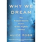 Why We Dream: The Transformative Power of Our Nightly Journey