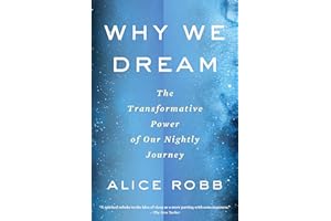 Why We Dream: The Transformative Power of Our Nightly Journey