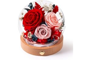 AGRUL Valentines Day Roses Gifts for Her,Forever Preserved Flowers Roses in Glass Dome,Roses Gifts for Wife Mom Women Daughter Best Friend/Red