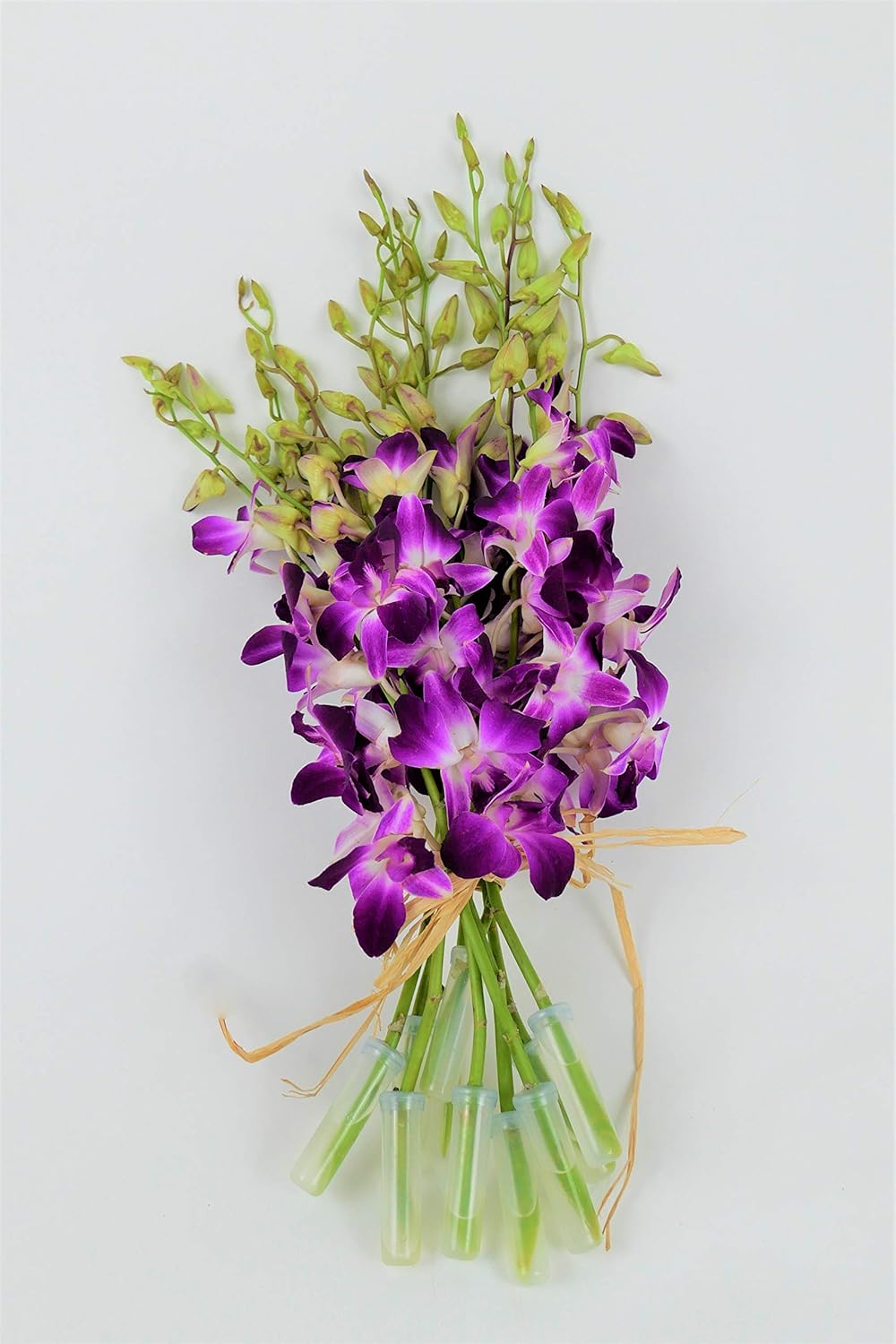 Amazon Com Athena S Garden Full Live Fresh Box Dendrobium Sonia Galaxy Bombay Cut Orchids 7 Bunches Vibrant Purple Garden Outdoor