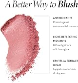 Laura Geller New York Baked Blush-n-Brighten Marbleized Blush Beachy Horizon 105 view 3