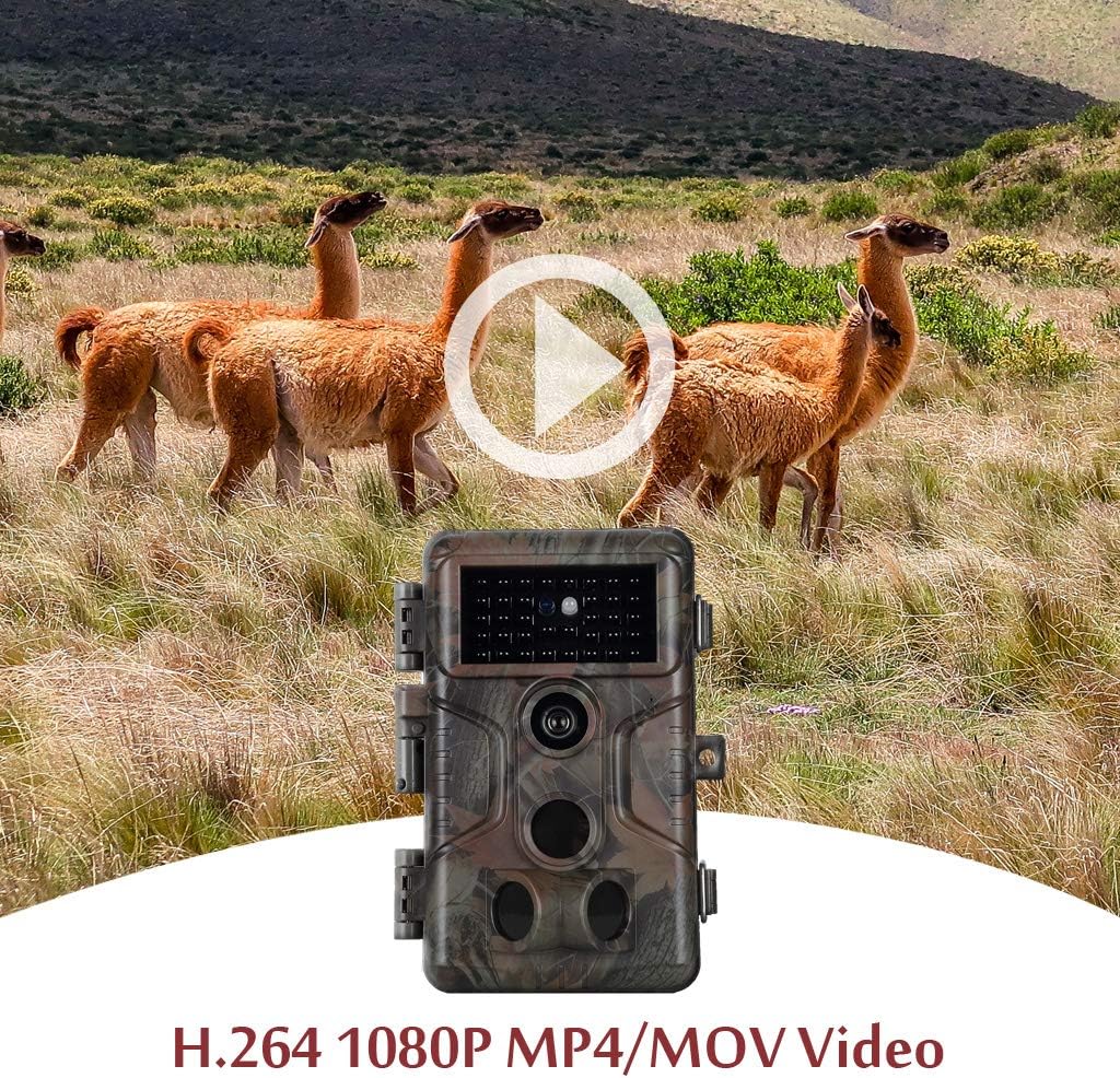 Folgtek 4pcs Wildlife Cameras Trail Cam with Audio 20MP Photo 1080P H.264 Video, 100ft Night Vision IP66 Waterproof 120° Wide Angle: Home Improvement