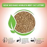 World's Best Cat Litter Multiple Cat Unscented 15-Pounds view 2