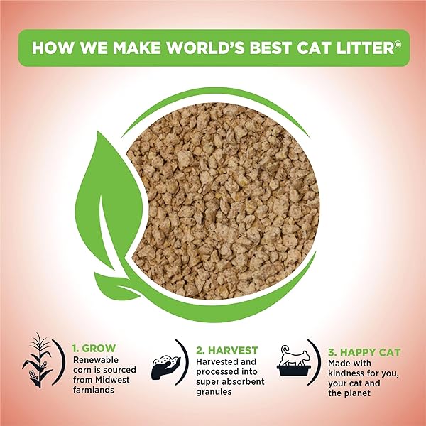 WORLD’S BEST CAT LITTER MULTIPLE CAT UNSCENTED, 15-POUNDS – NATURAL INGREDIENTS, QUICK CLUMPING, FLUSHABLE, 99% DUST FREE & MADE IN USA – LONG-LASTING ODOR CONTROL & EASY SCOOPING