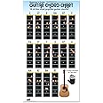Guitar Chord Chart Poster for Beginners. 16 Popular Chords Guide. Perfect for Students and Teachers. Educational Handy Guide Chart Print for Guitar Music Lessons. 30in Tall X 17in Wide Poster #P1003m