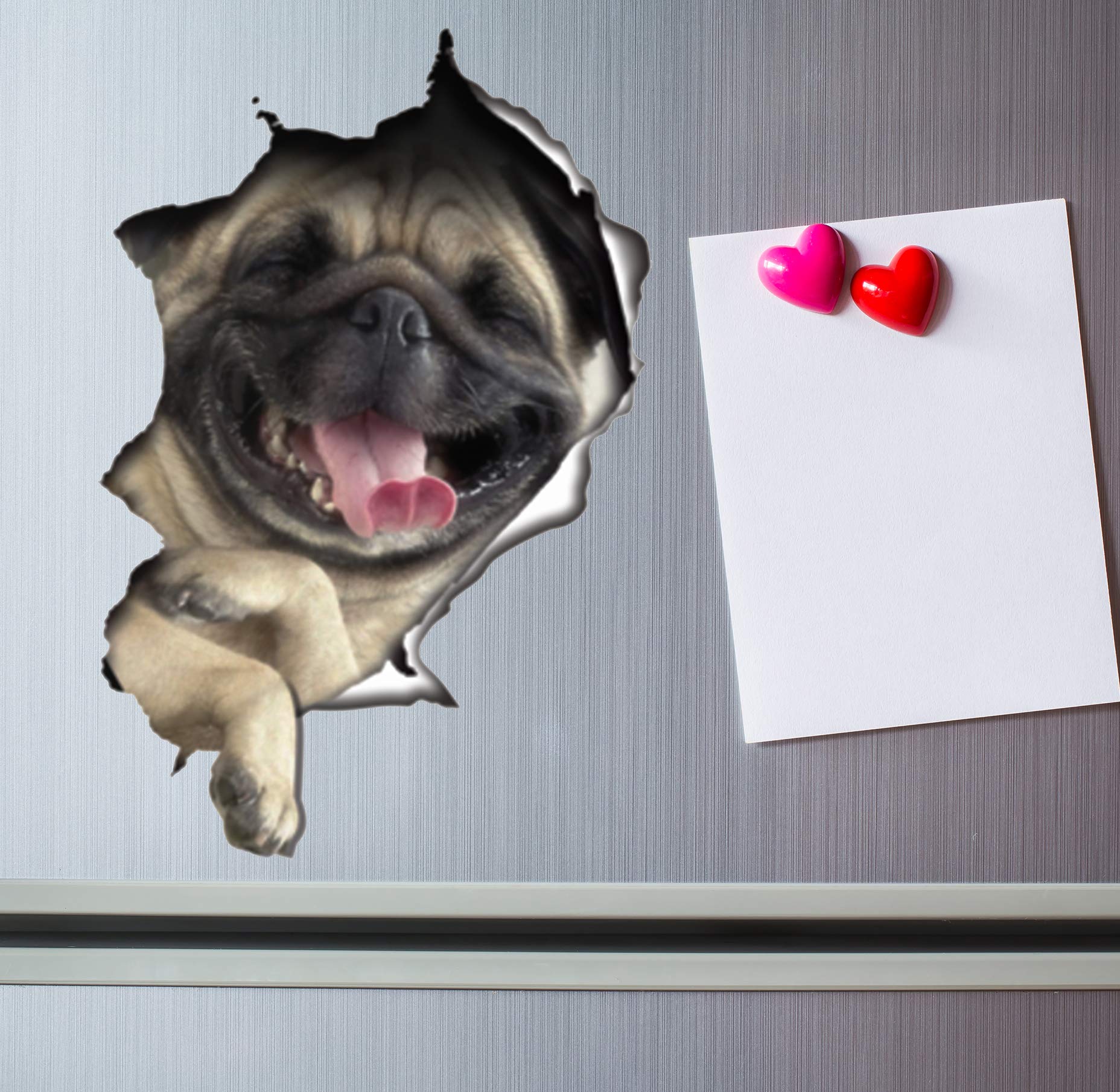 Winston & Bear 3D Cat Stickers - 2 Pack - Laughing Pug Decals for Wall - Stickers for Fridge and Anything Else