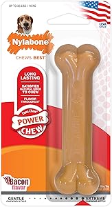 Nylabone Flavored Durable Dog Chew Toy