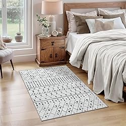 SERISSA 2x3 Washable Small Entry Rug,Soft Non Slip