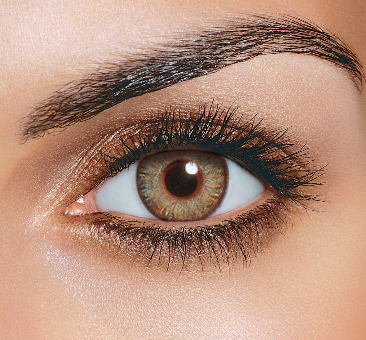 Polo House Usa Monthly Contact Lens (Brown Colour) Zero Power