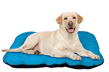 Best Direct Dog Bed As Seen On Tv Letto Cuscini Per Cani