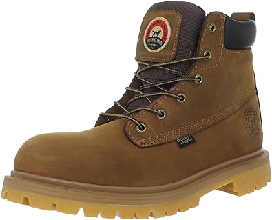 irish setter hopkins