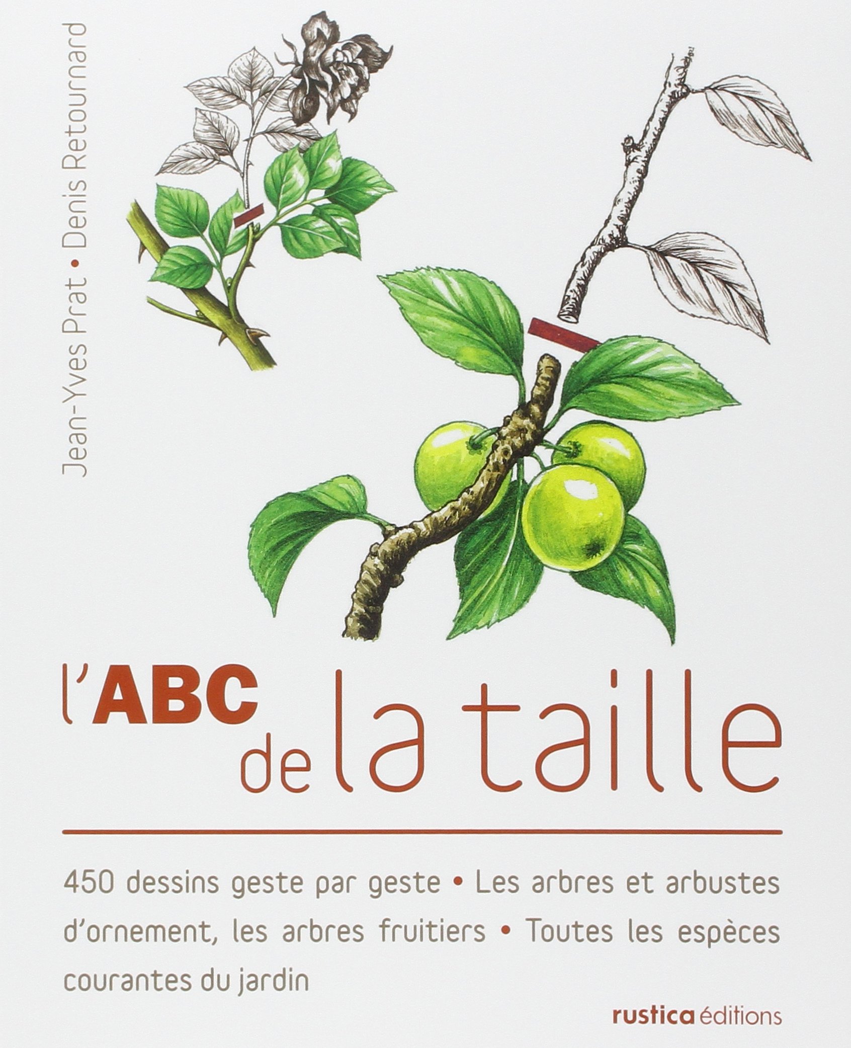 De La Taille à La Conduite Des Arbres Fruitiers Pdf