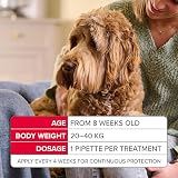 Beaphar FIPROtec COMBO for Large Dogs 20-40kg 3 Pipettes Vet Strength view 4