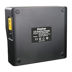 Kastar 4 Pack Battery and LCD Dual Fast Charger for